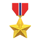 🎖️